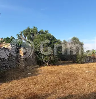 Foto annuncio 17