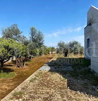 Foto annuncio 13