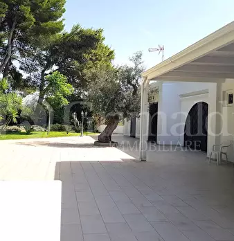 Foto annuncio 23