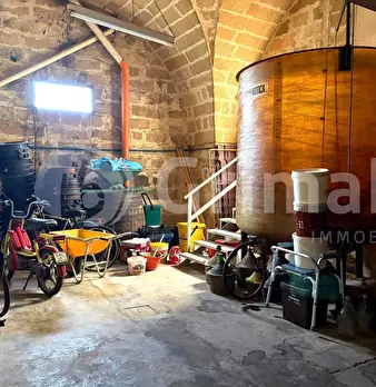 Foto annuncio 34