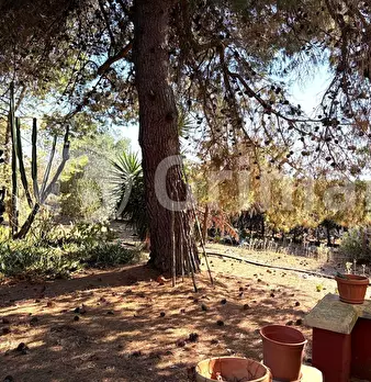 Foto annuncio 9