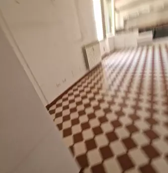 Foto annuncio 46