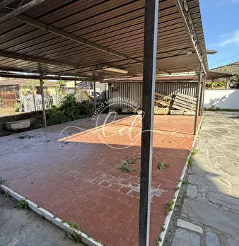 Foto annuncio 75