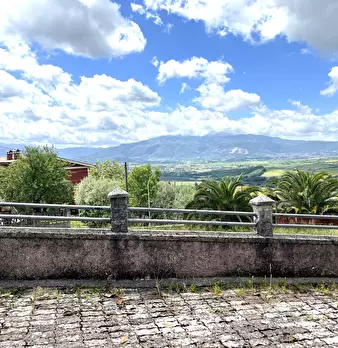 Foto annuncio 43