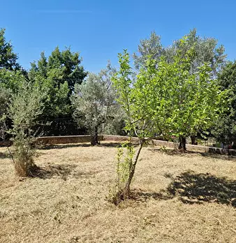 Foto annuncio 10