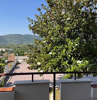Foto annuncio 33