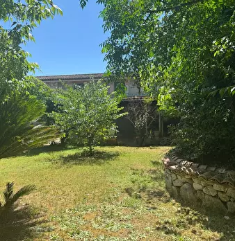 Foto annuncio 50