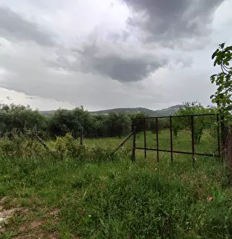 Foto annuncio 6