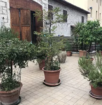 Foto annuncio 10