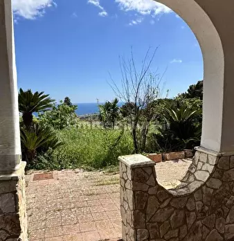 Foto annuncio 29