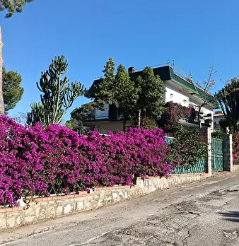 Foto annuncio 27