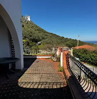 Foto annuncio 33