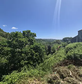 Foto annuncio 20