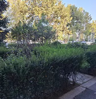 Foto annuncio 4