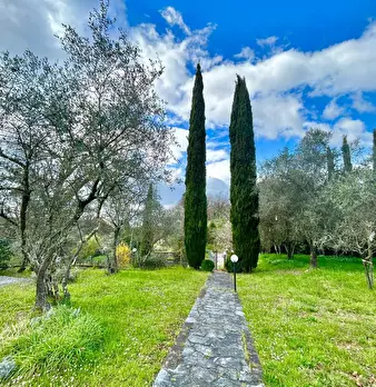 Foto annuncio 5