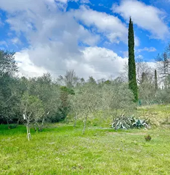 Foto annuncio 18