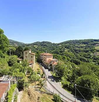 Foto annuncio 8