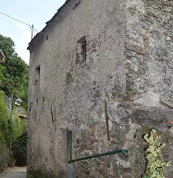 Foto annuncio 5