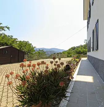Foto annuncio 38