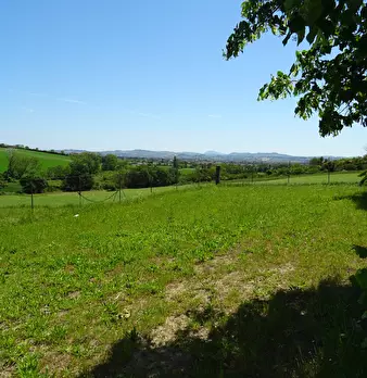 Foto annuncio 27