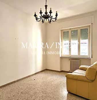 Foto annuncio 11