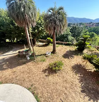 Foto annuncio 9