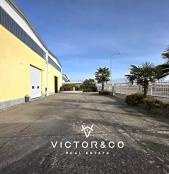 Foto annuncio 2