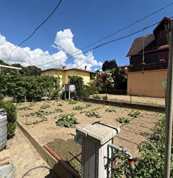Foto annuncio 50
