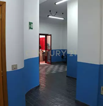 Foto annuncio 16
