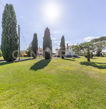 Foto annuncio 81