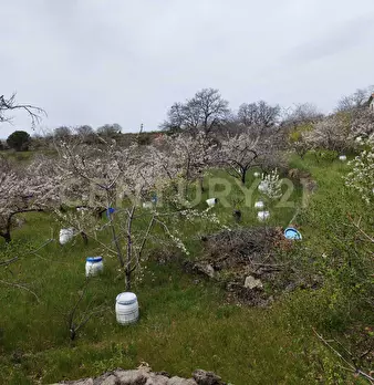 Foto annuncio 18