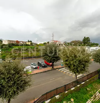 Foto annuncio 51
