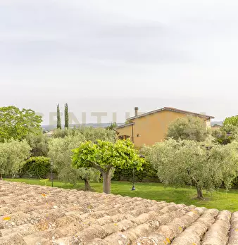 Foto annuncio 96