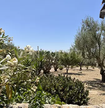 Foto annuncio 4