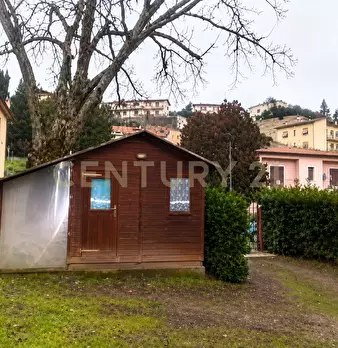 Foto annuncio 12