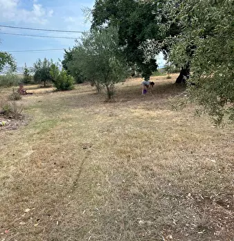 Foto annuncio 41