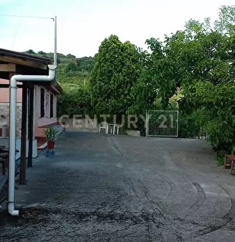Foto annuncio 19
