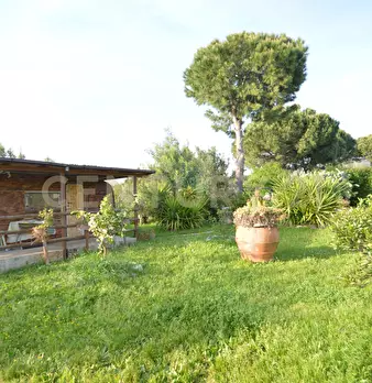 Foto annuncio 28