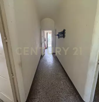 Foto annuncio 23
