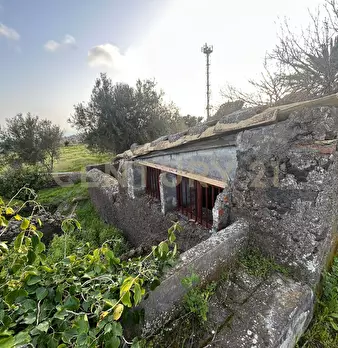 Foto annuncio 12