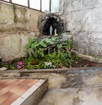 Foto annuncio 28