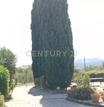 Foto annuncio 18