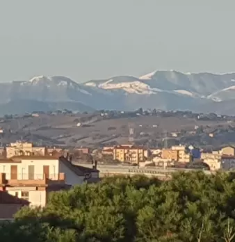Foto annuncio 20