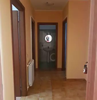 Foto annuncio 31