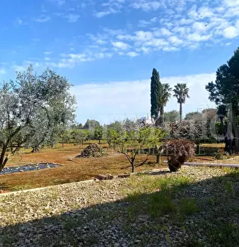 Foto annuncio 15