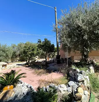 Foto annuncio 5