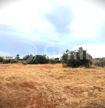 Foto annuncio 4