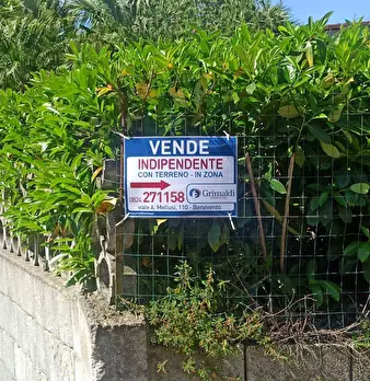Foto annuncio 36