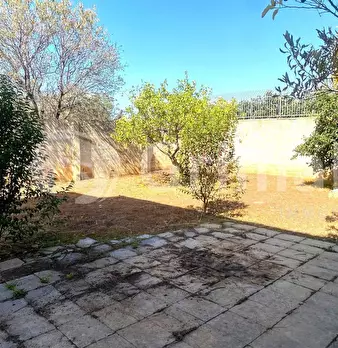 Foto annuncio 7
