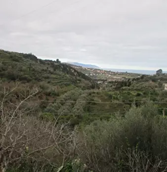 Foto annuncio 4